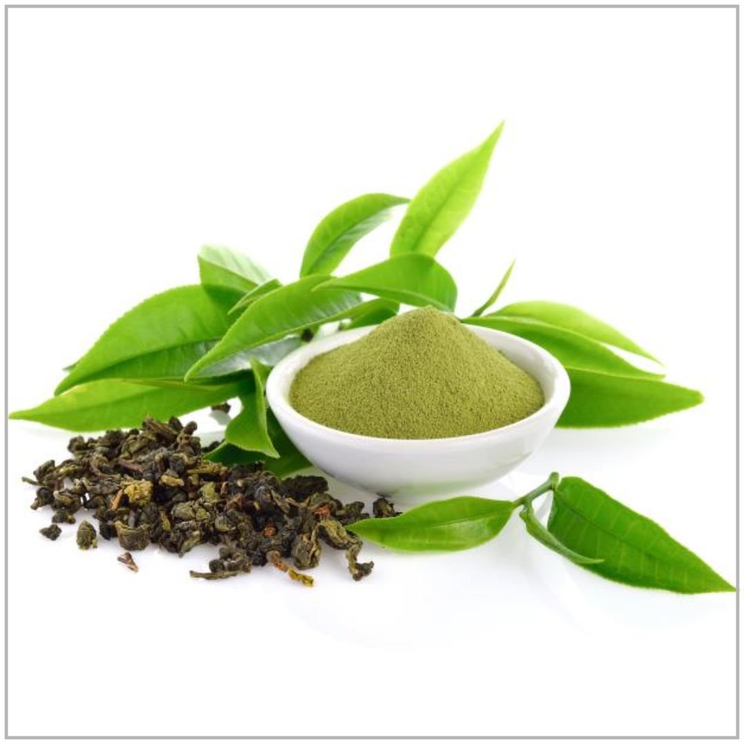 Green Tea Extract